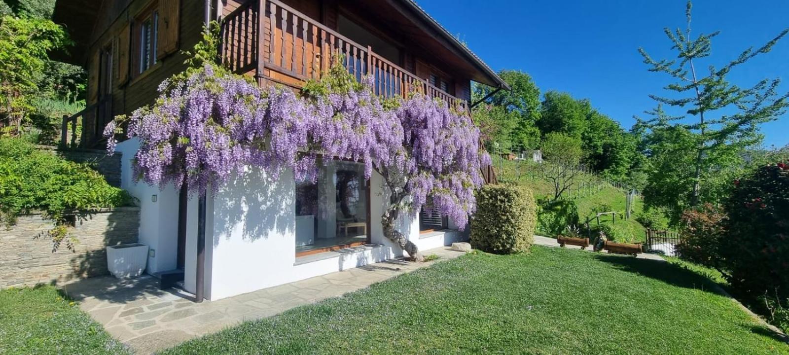 Chalet Sophie - Luxury Chalet Roletto Exteriér fotografie